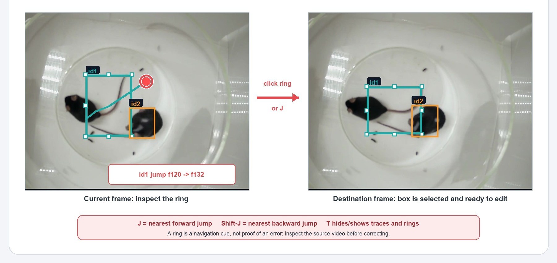 Hover a red ring for context, then click or press J to reach the destination frame