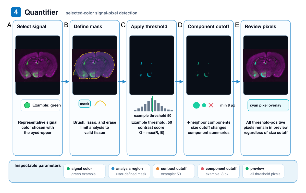 Quantifier signal-pixel detection stage